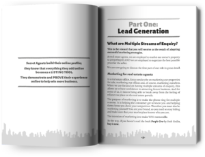 Lisa B secret agents real estate trainer