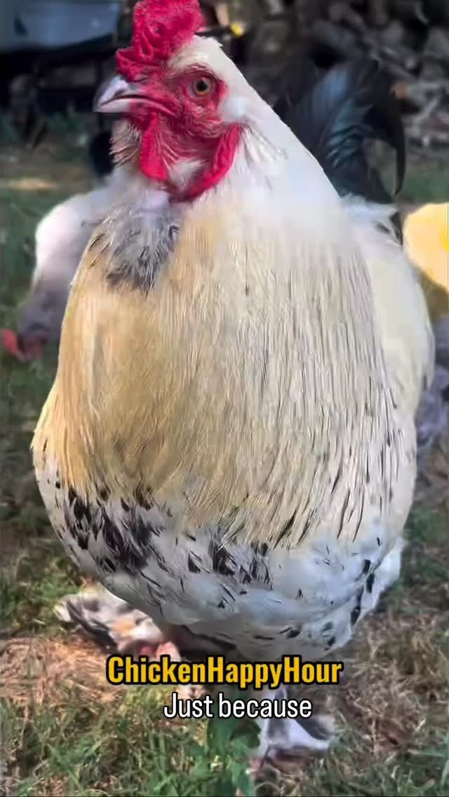 Instagram post from lisabrealestate1. This post is in position 2.