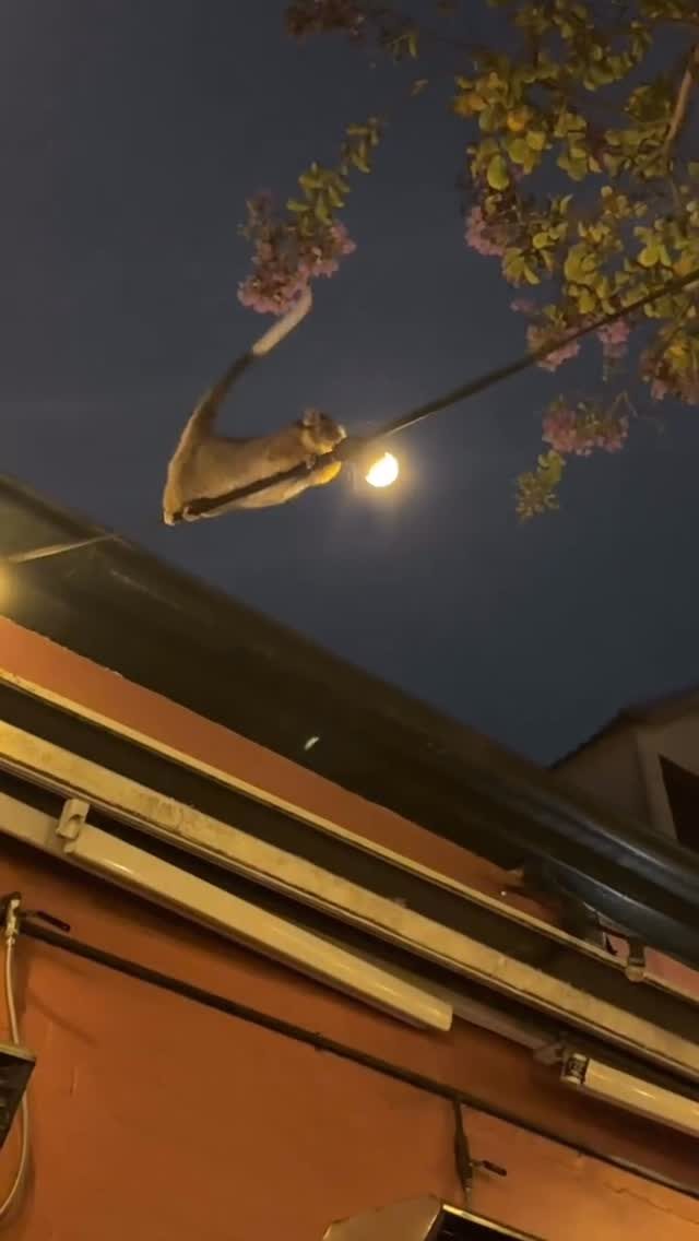 Instagram post from lisabrealestate1. This post is in position 2.