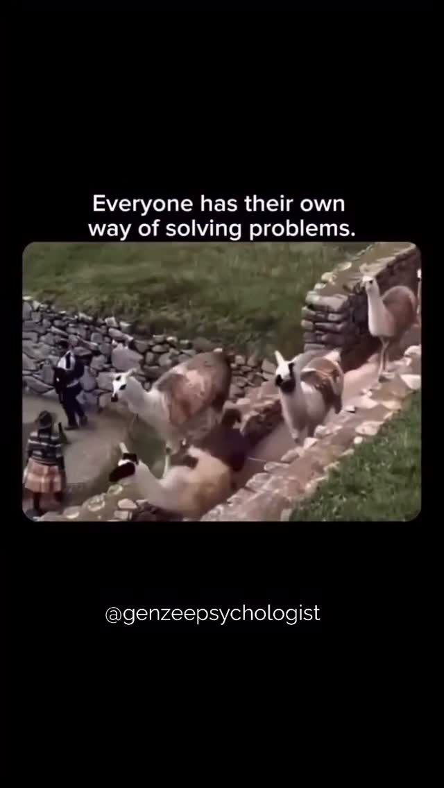 Instagram post from lisabrealestate1. This post is in position 17.