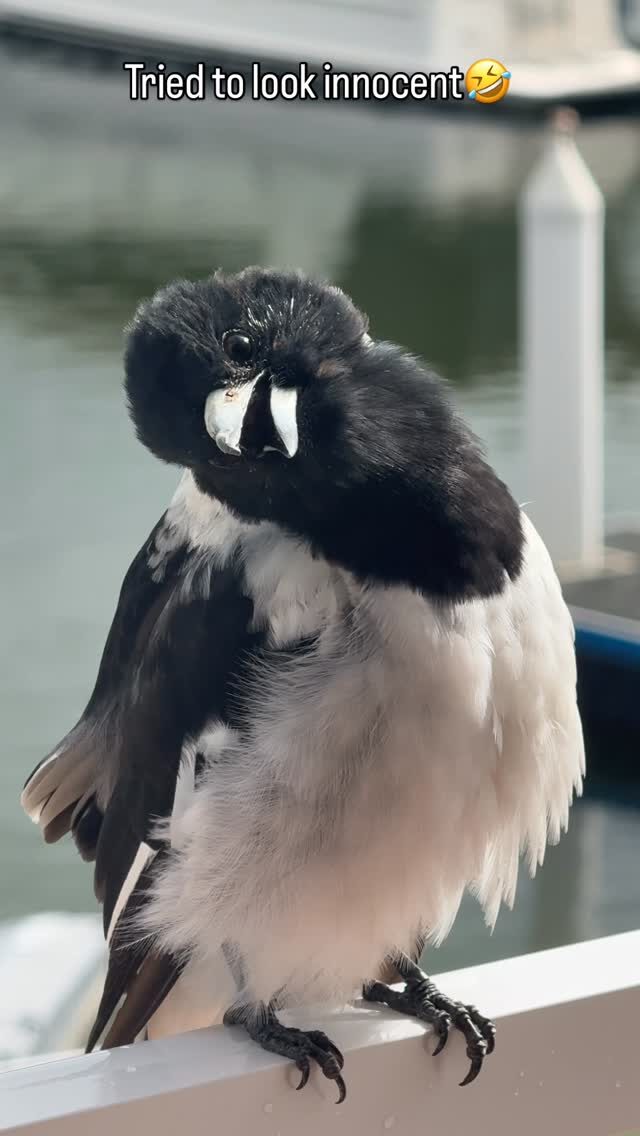 Instagram post from lisabrealestate1. This post is in position 6.